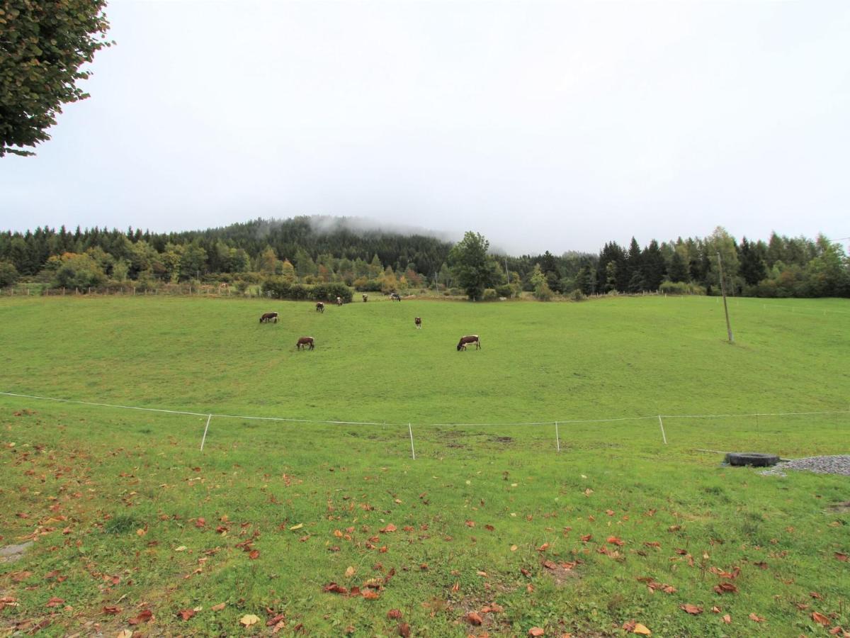 Beautiful Apartment In A Renovated Farmhouse In Fresach Carinthia エクステリア 写真